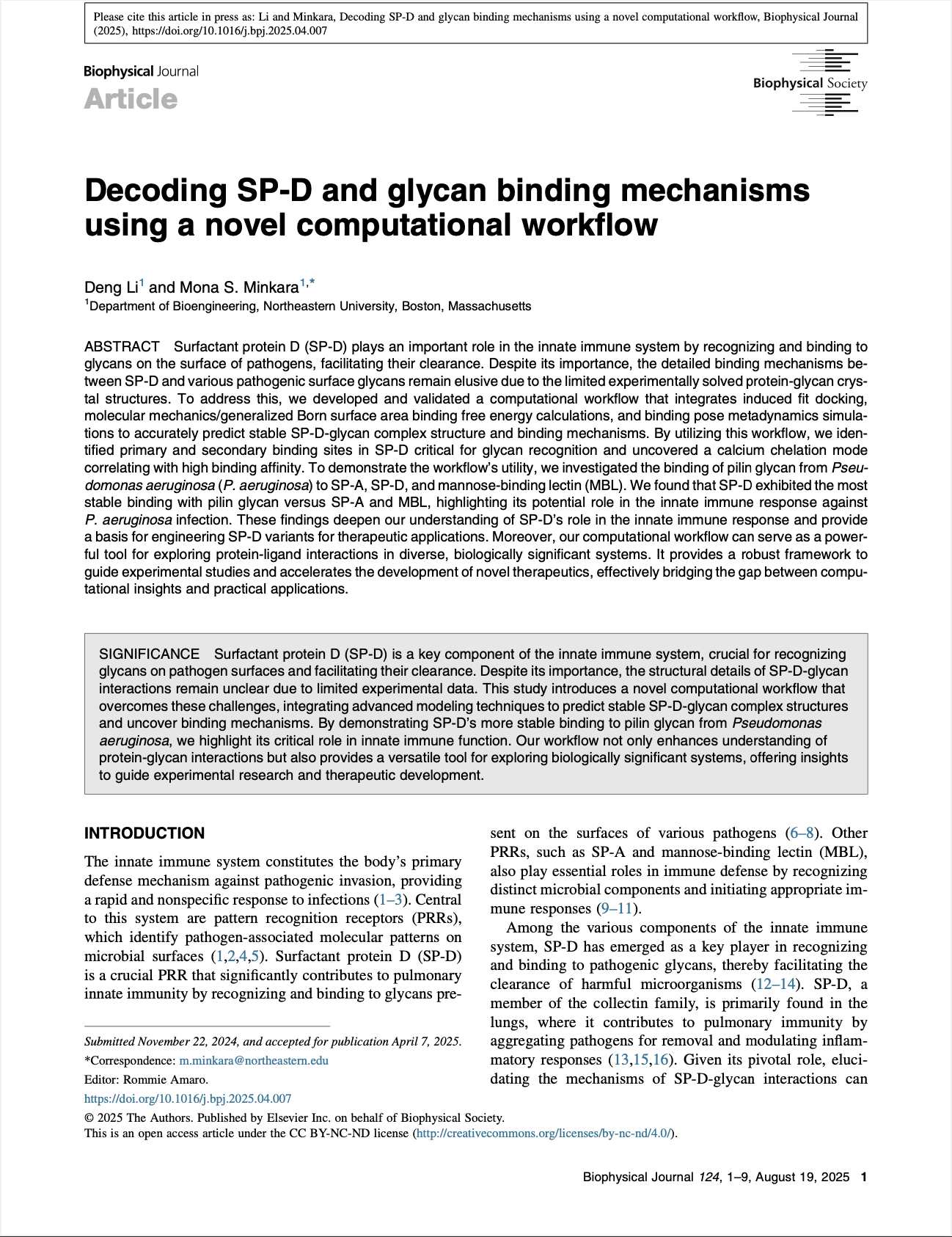 Decoding SP-D and glycan binding mechanisms using a novel computational workflow